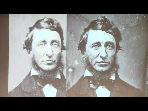 Writing Thoreau: A ‘Masterpiece’ Biography