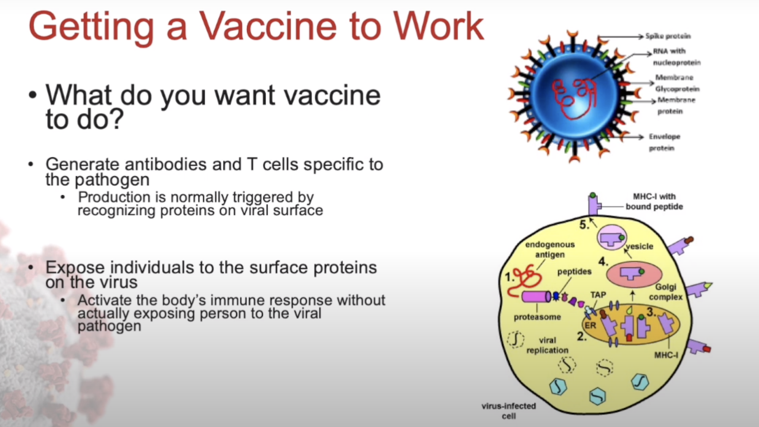 The COVID Vaccine: Good Science and Science for the Human Good