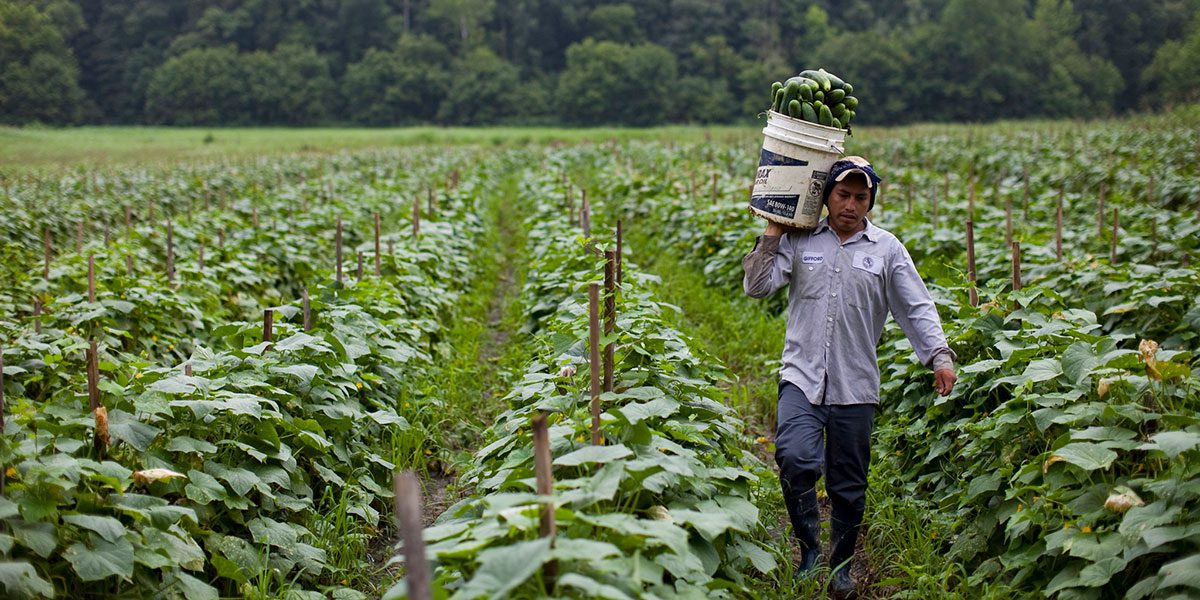 Coffee for Integration: Insights on Empowering Migrants and Refugees in the Americas