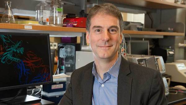 New Discoveries from Baker Laboratory may Help Usher in New Era of Cancer Immunotherapy