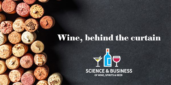 Wine 101: Wine Basics