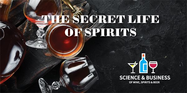 The Secret Life of Spirits