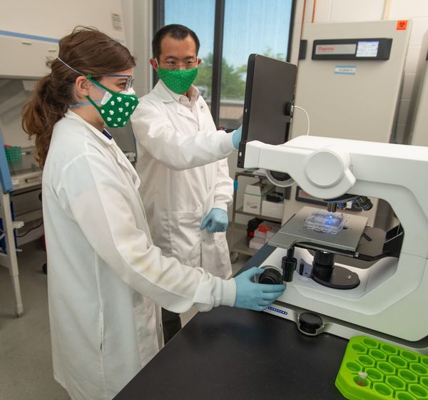 Notre Dame researchers’ “backpacks” restore damaged stem cells